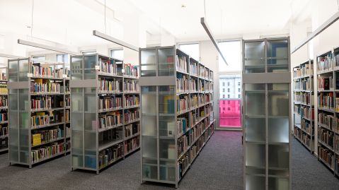 Mehrere Regale mit Büchern stehen in der Bibliothek vor einer großen Fensterwand.